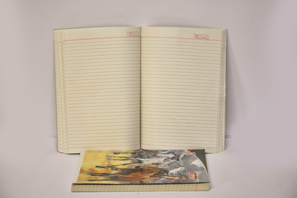 vidhya rough notebbok